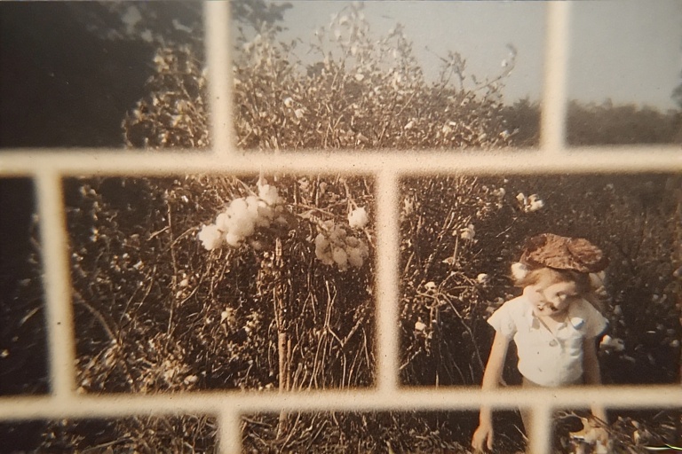 you cotton picking varmint!
